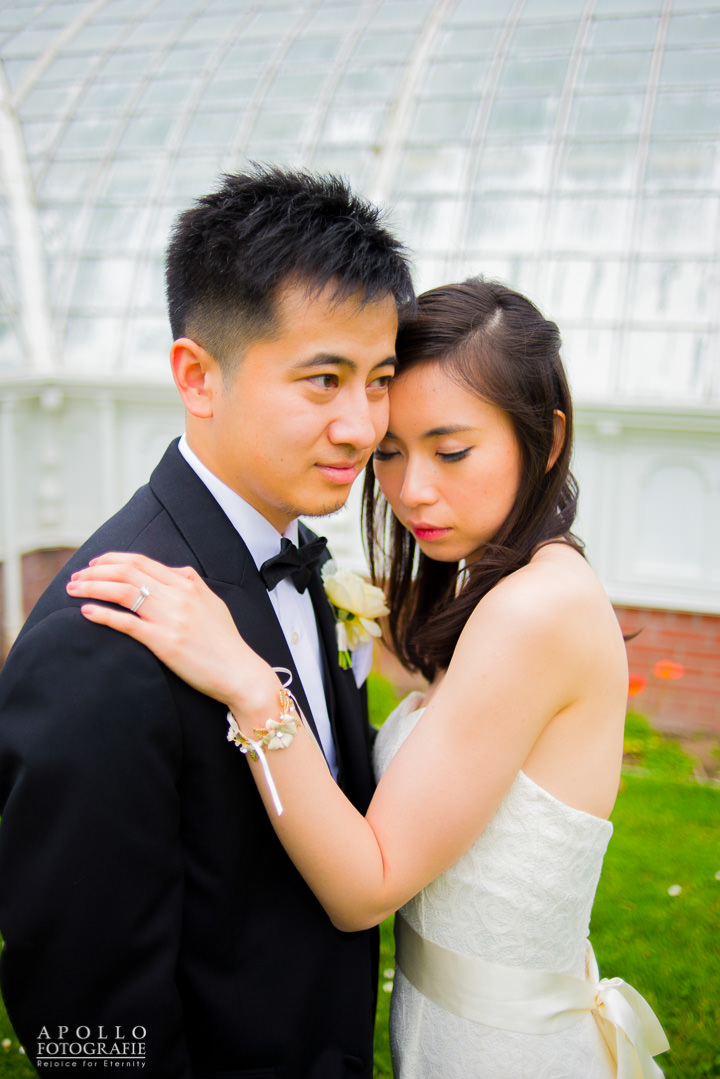 san francisco conservatory of flowers wedding