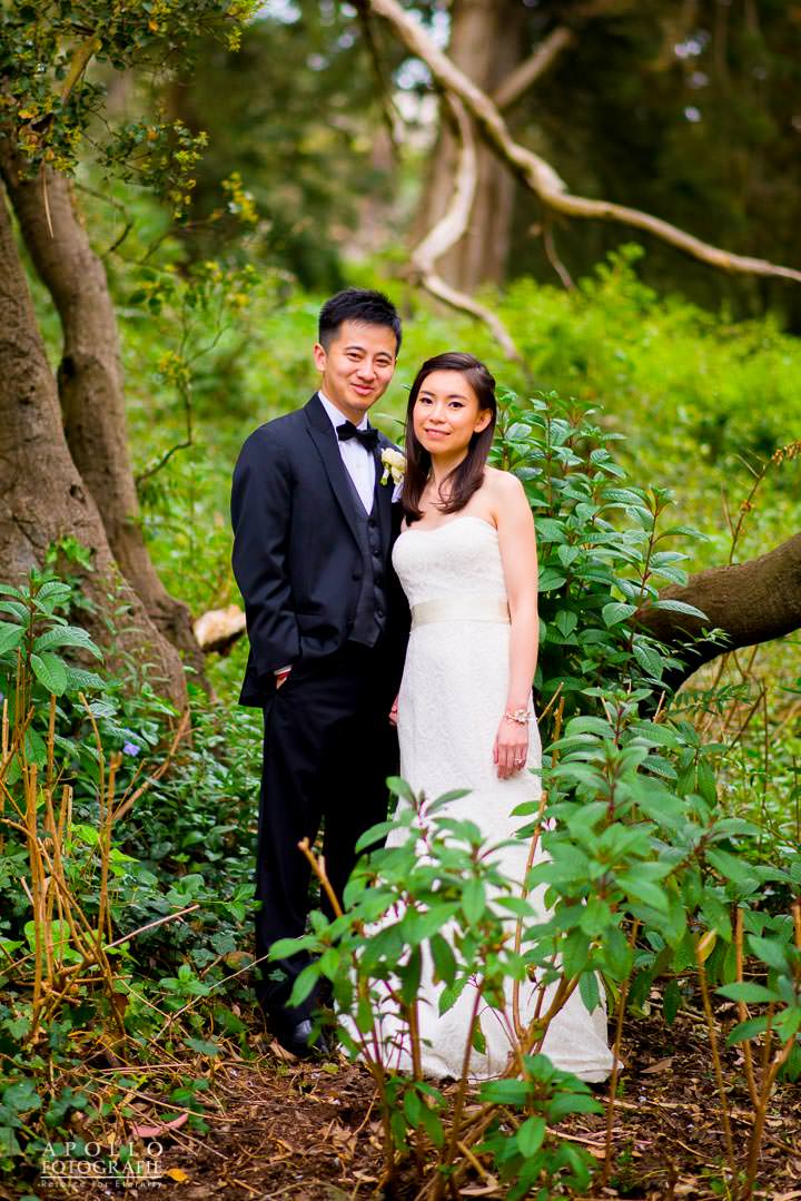 san francisco wedding portraits