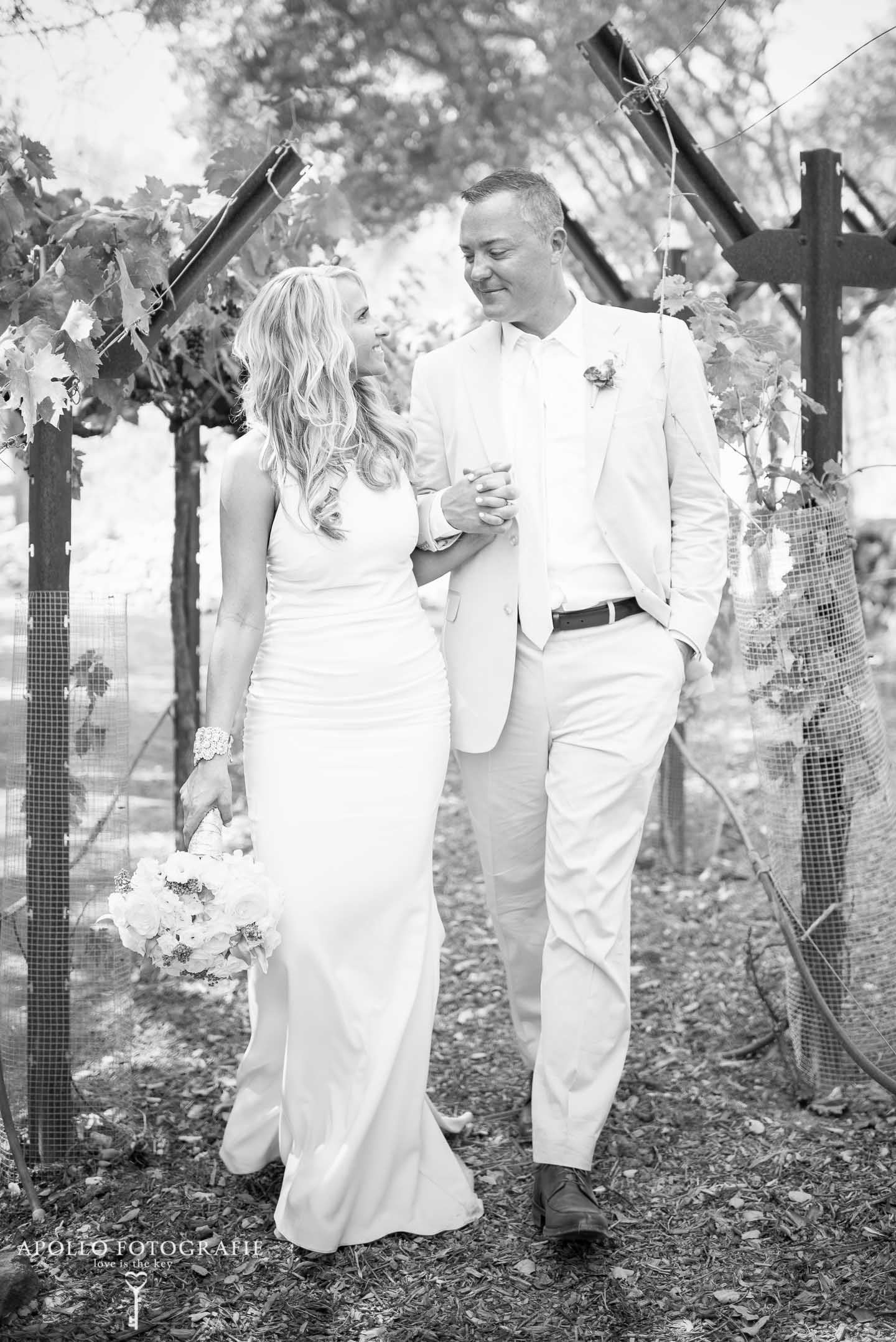 vineyard wedding photography