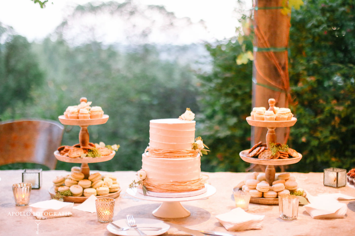 Wedding Photographs