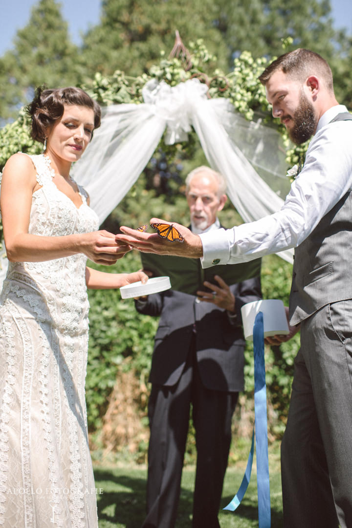 SF Wedding Photographers