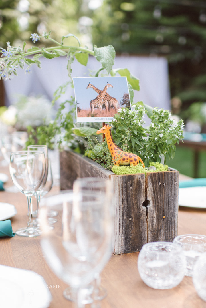 San Francisco Wedding Photographers