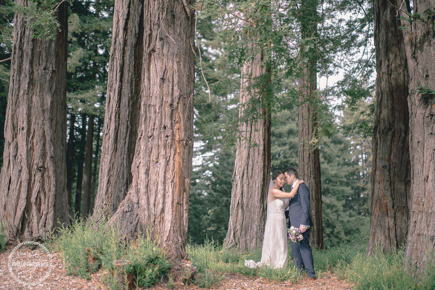 forest wedding photography