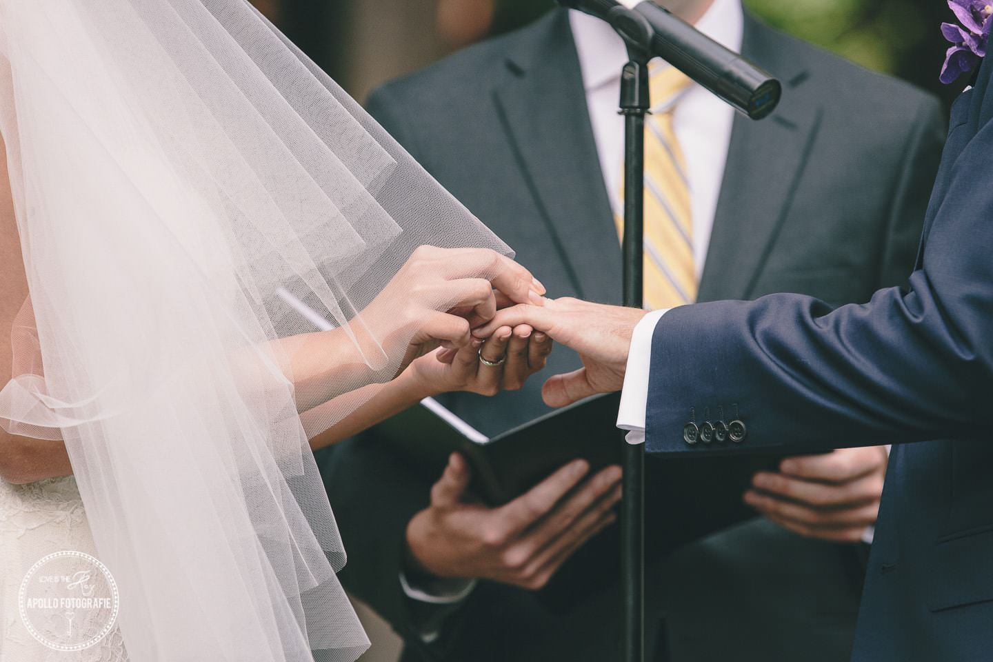 wedding ceremony rings