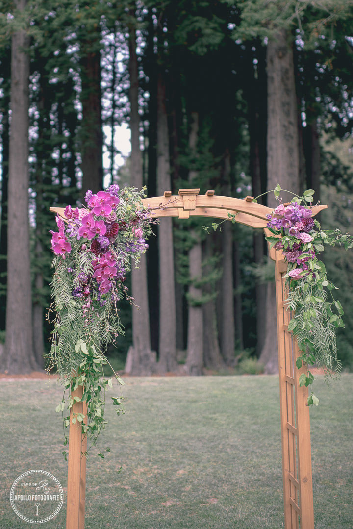 outdoor wedding purple