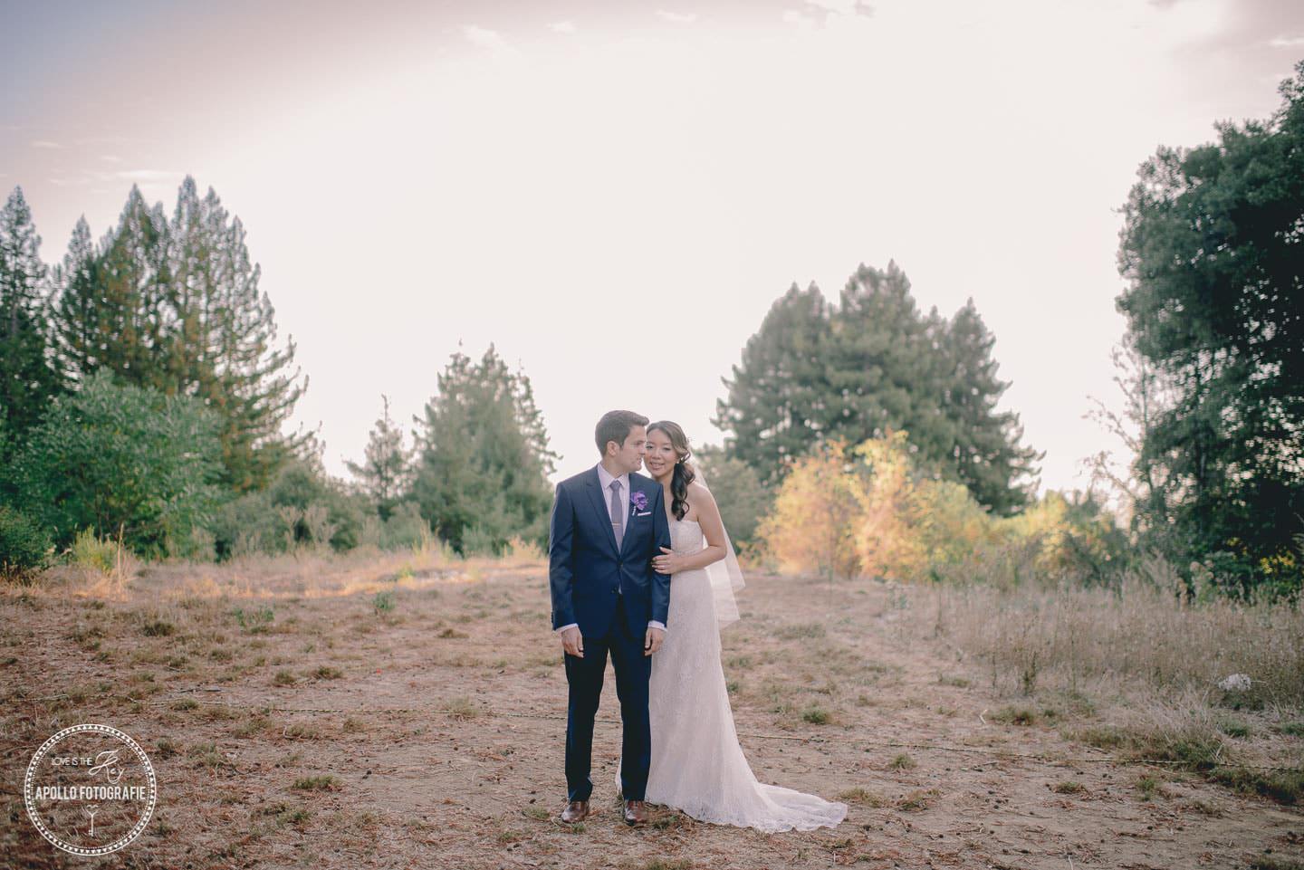 san francisco wedding photos