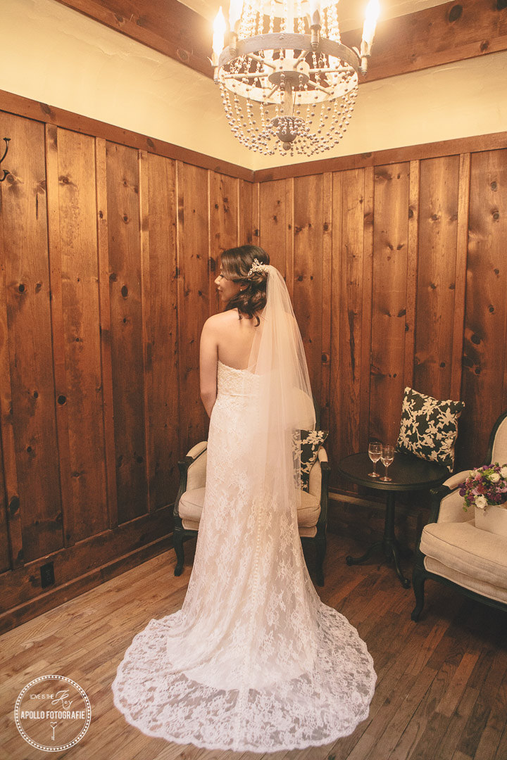 rustic bridal portriats