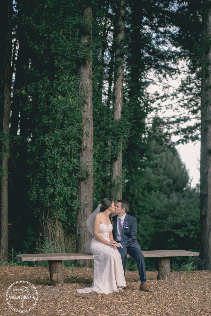 outdoor wedding photos