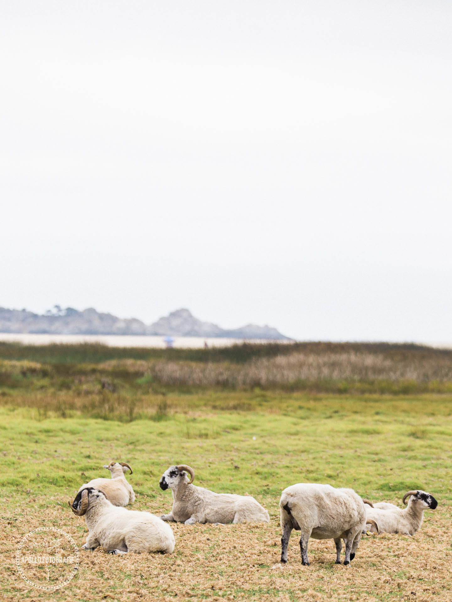ranch wedding photography