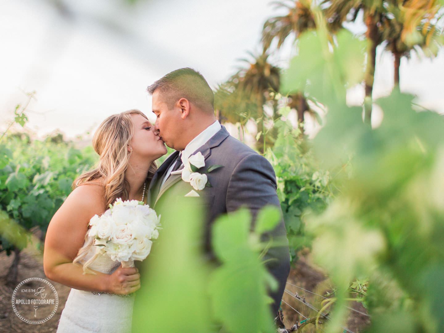 vineyard couples portraits