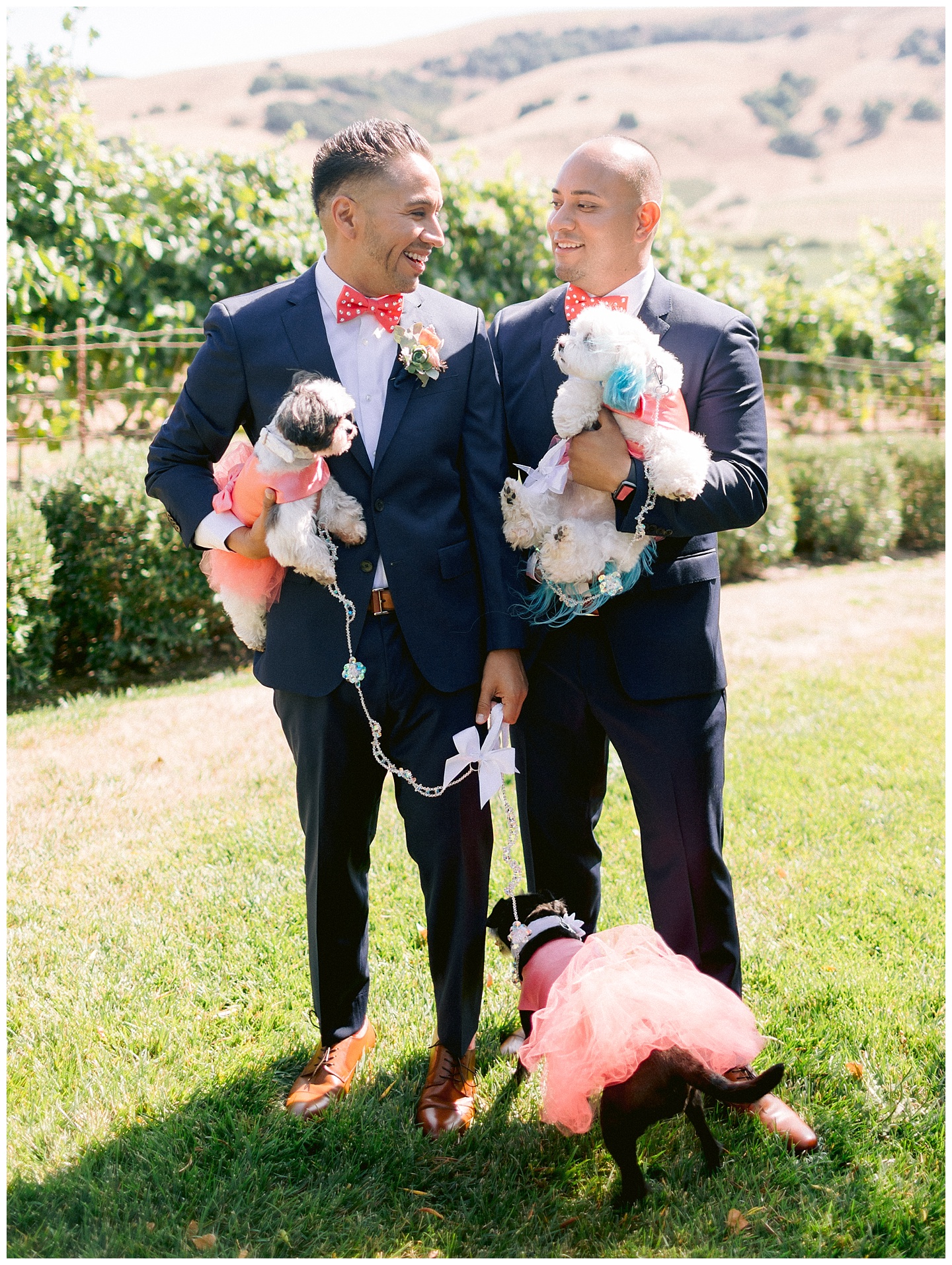 2019-09-03_0021.jpg 2019-09-03_0021.jpg