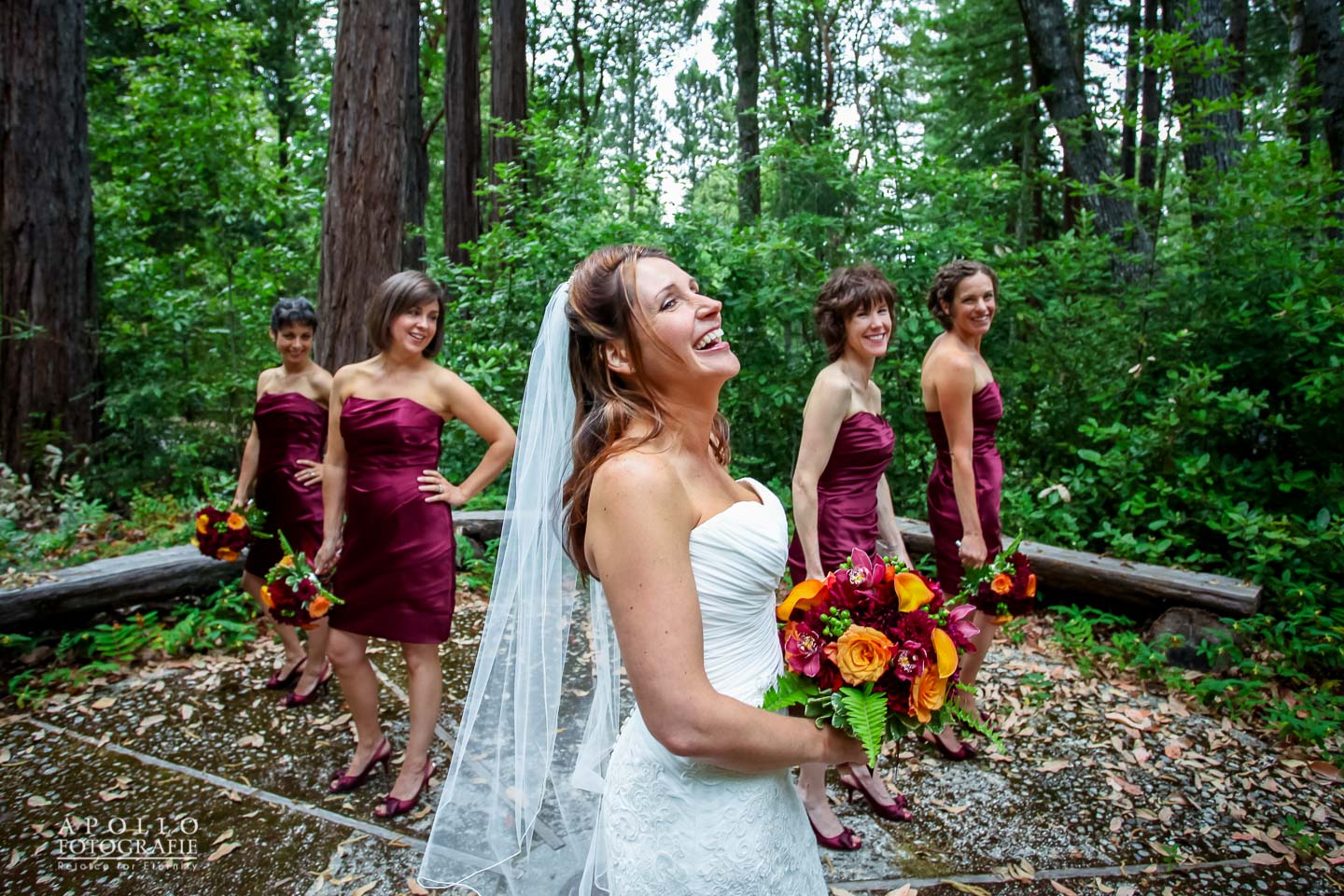 Sequoia Retreat Center Wedding Photography Sequoia Retreat Wedding Photography